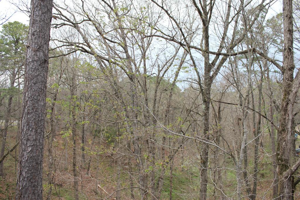 Brydan Suites Eureka Springs Buitenkant foto